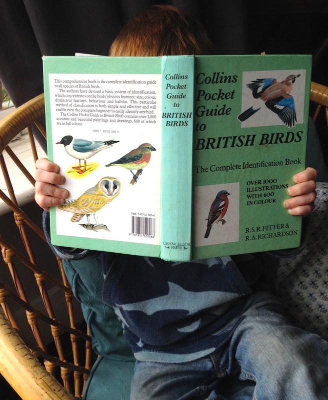 Bird book