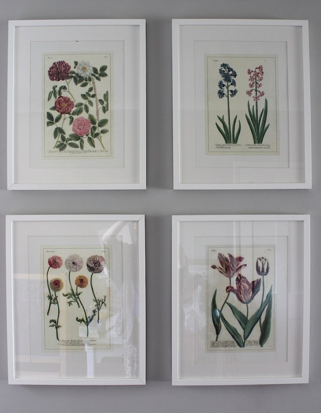 Botanical wall art