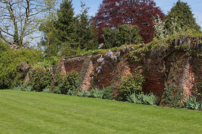 Eltham Palace car park | Wolves in London