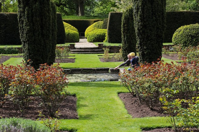 Eltham Palace gardens | Wolves in London