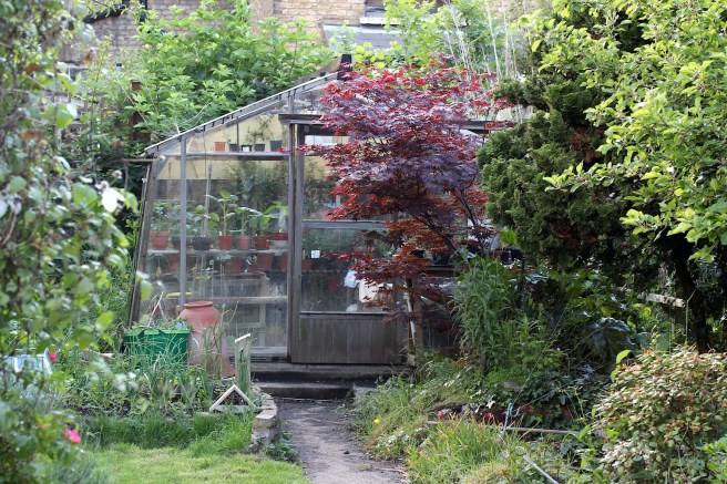 Greenhouse