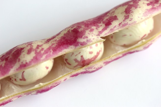 Borlotti pod open | Wolves in London