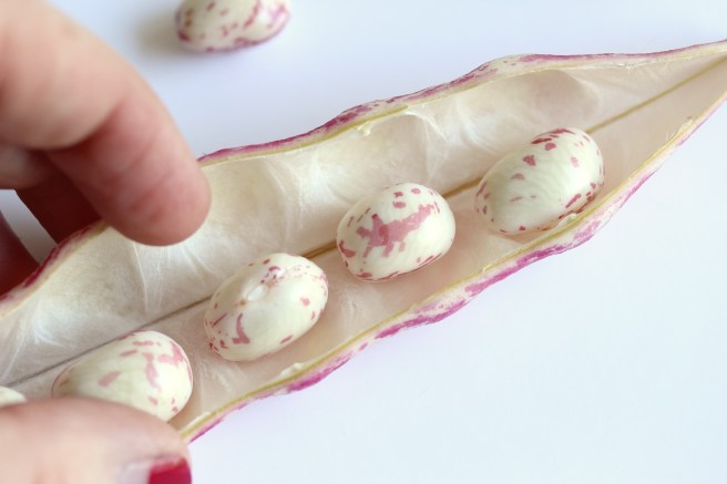 Borlotti beans | Wolves in London