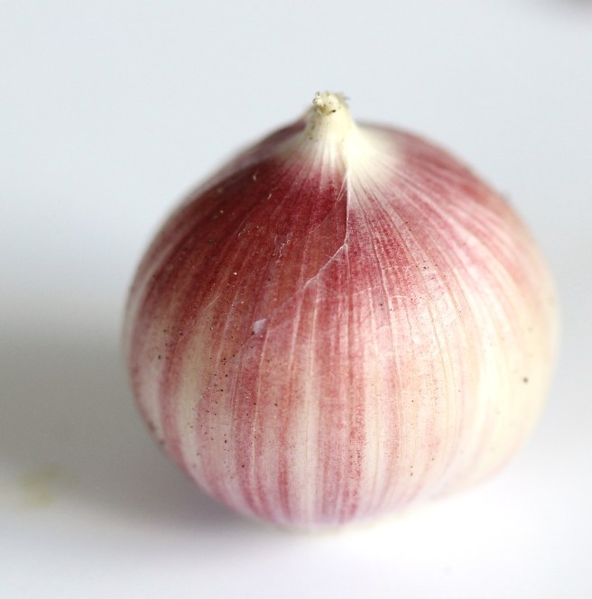 Garlic bulb | Wolves in London