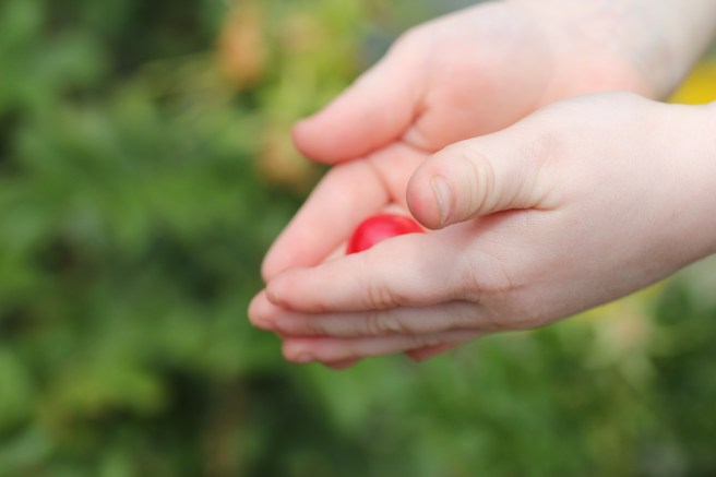 Sproglet and cherries