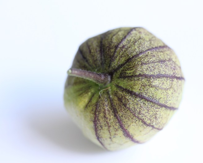 Tomatillo | Wolves in London