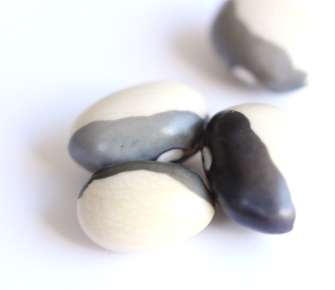 Yin yang beans | Wolves in London