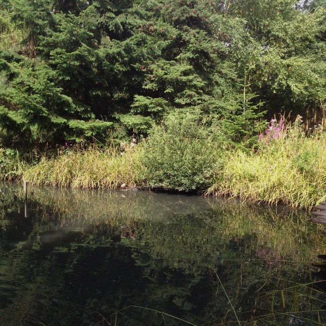London Wetland Centre