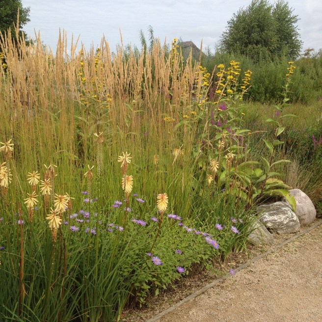 Summer planting at London Wetland Centre