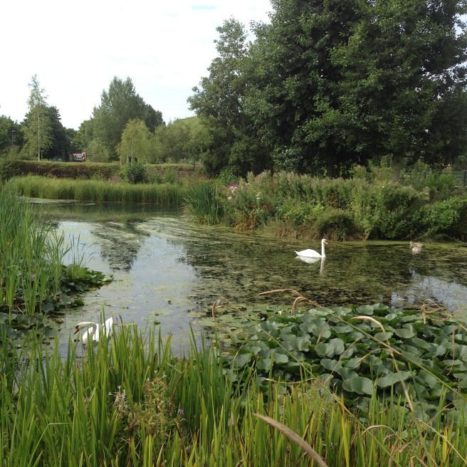 London Wetland Centre