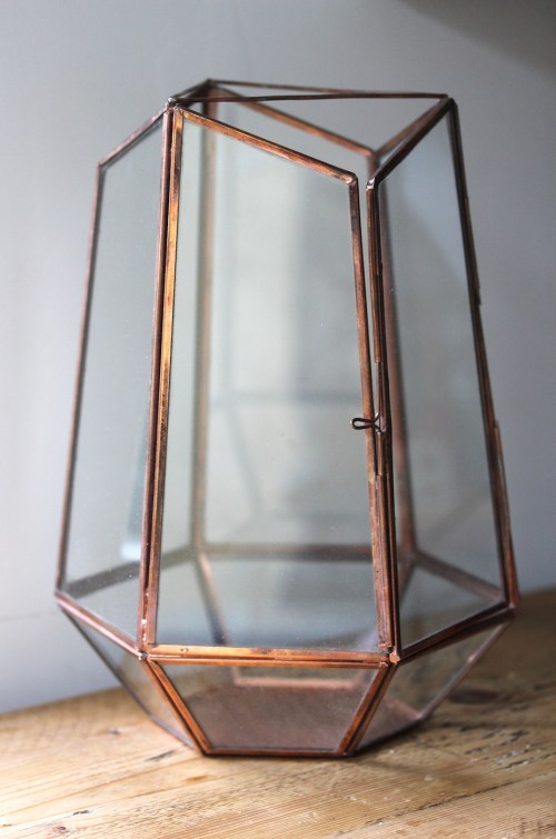 Copper terrarium planting ideas | Wolves in London