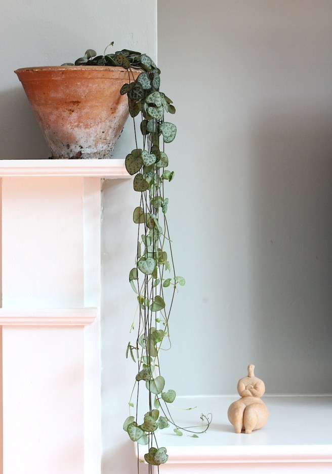 Urban Jungle Bloggers: plants and art