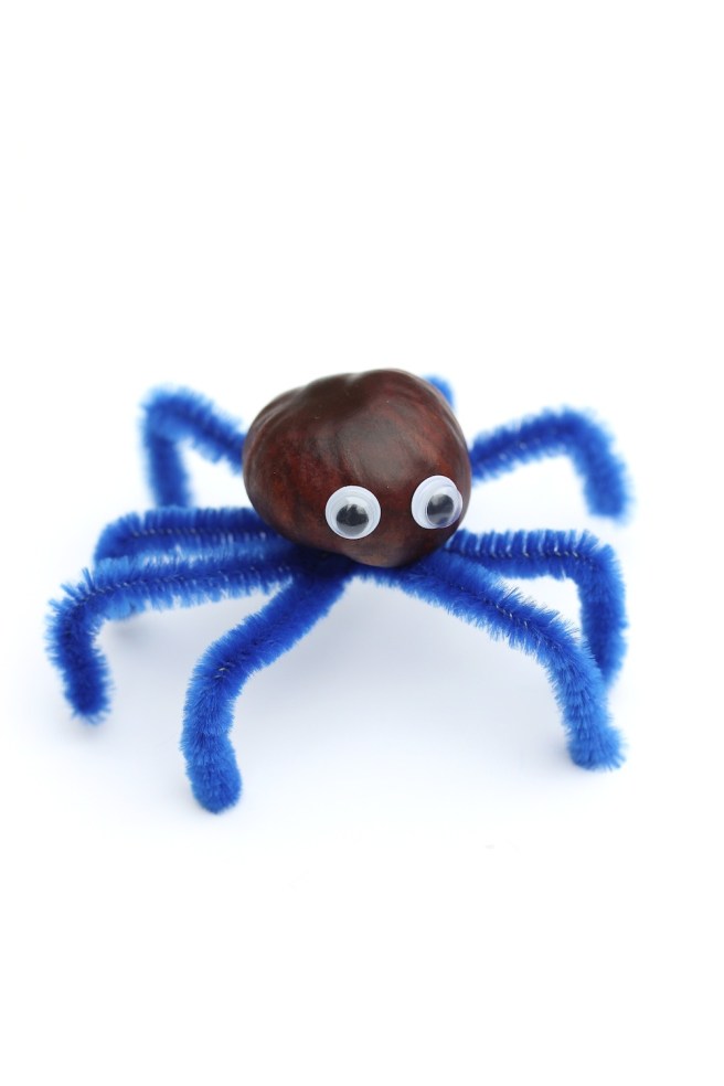 Finished conker spider