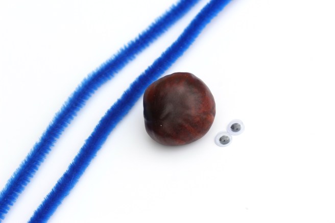 conker spider supplies