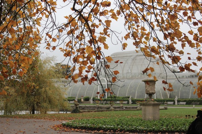 Kew palmhouse in Autumn