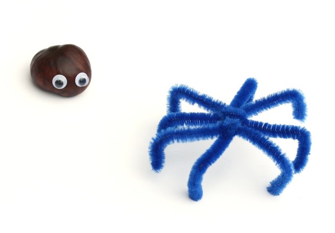 DIY conker spider