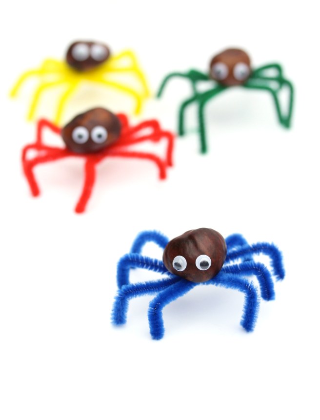 DIY spider conkers