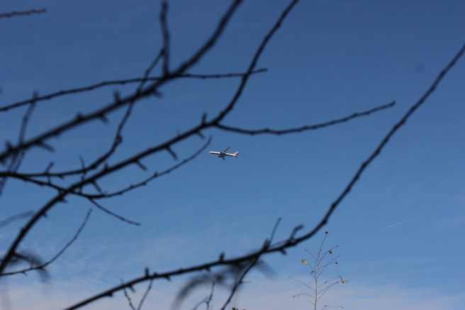 Plane on a winters day | Wolves in London