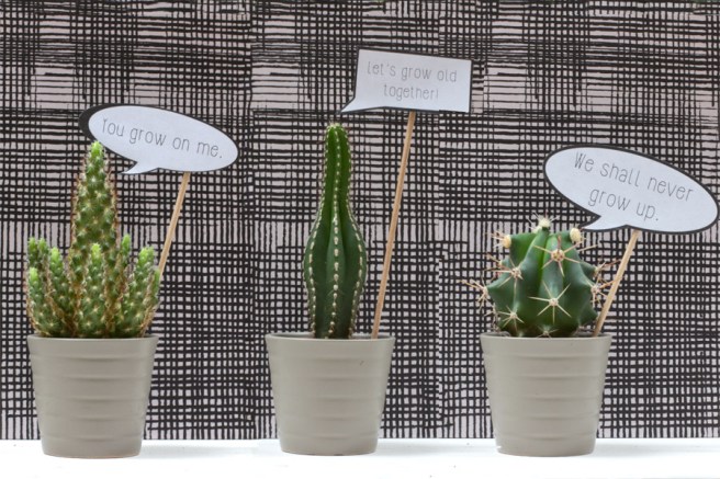 5 Valentine's DIYs for plant lovers