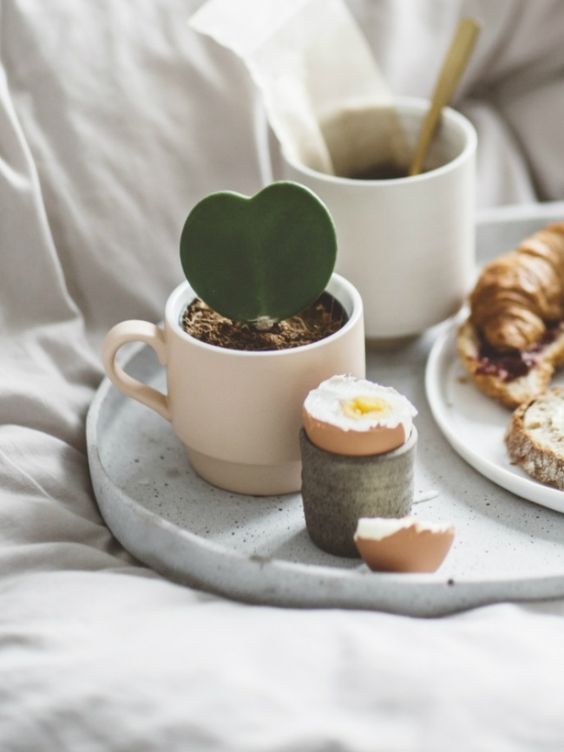 5 Valentine's DIYs for plant lovers