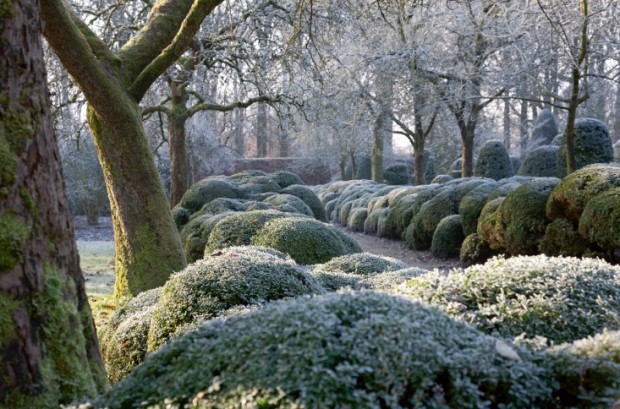 Jacques Wirtz's family garden