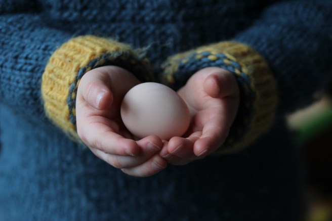 Pullet egg