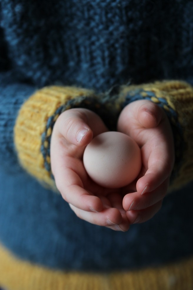 Egg from pekin bantam