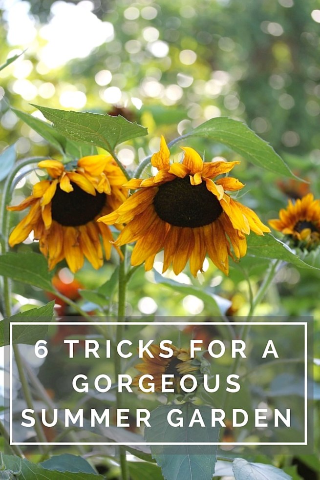 6 tips for a summer garden update