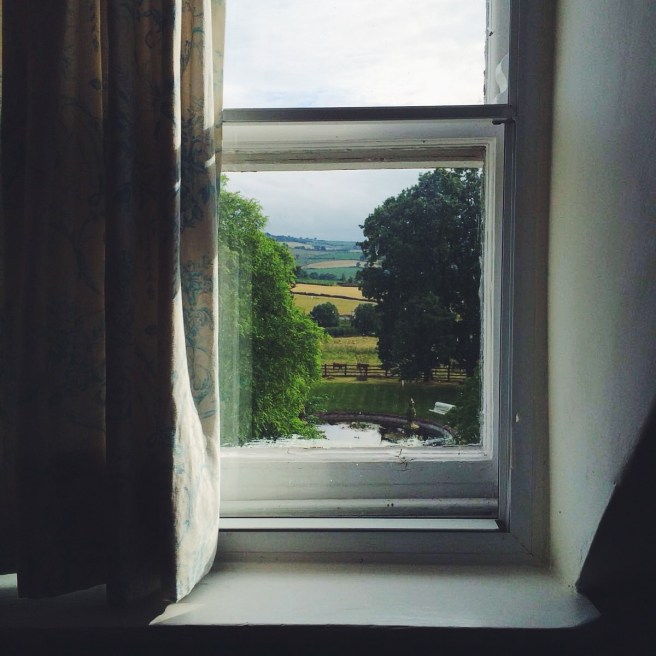 View from the window