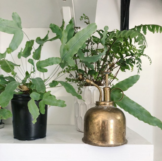 Processed with VSCO with a2 preset